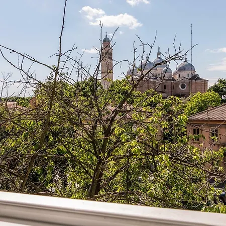 Grey Pearl @prato Della Valle Appartement *